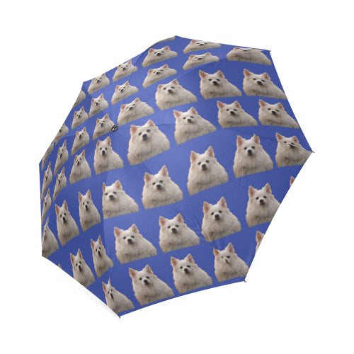 German Spitz Umbrella