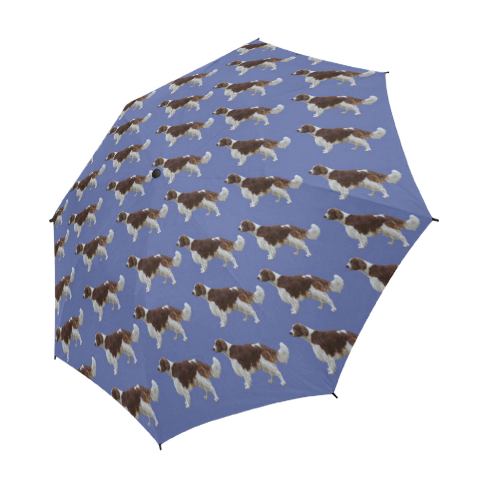 Welsh Springer Spaniel Umbrella