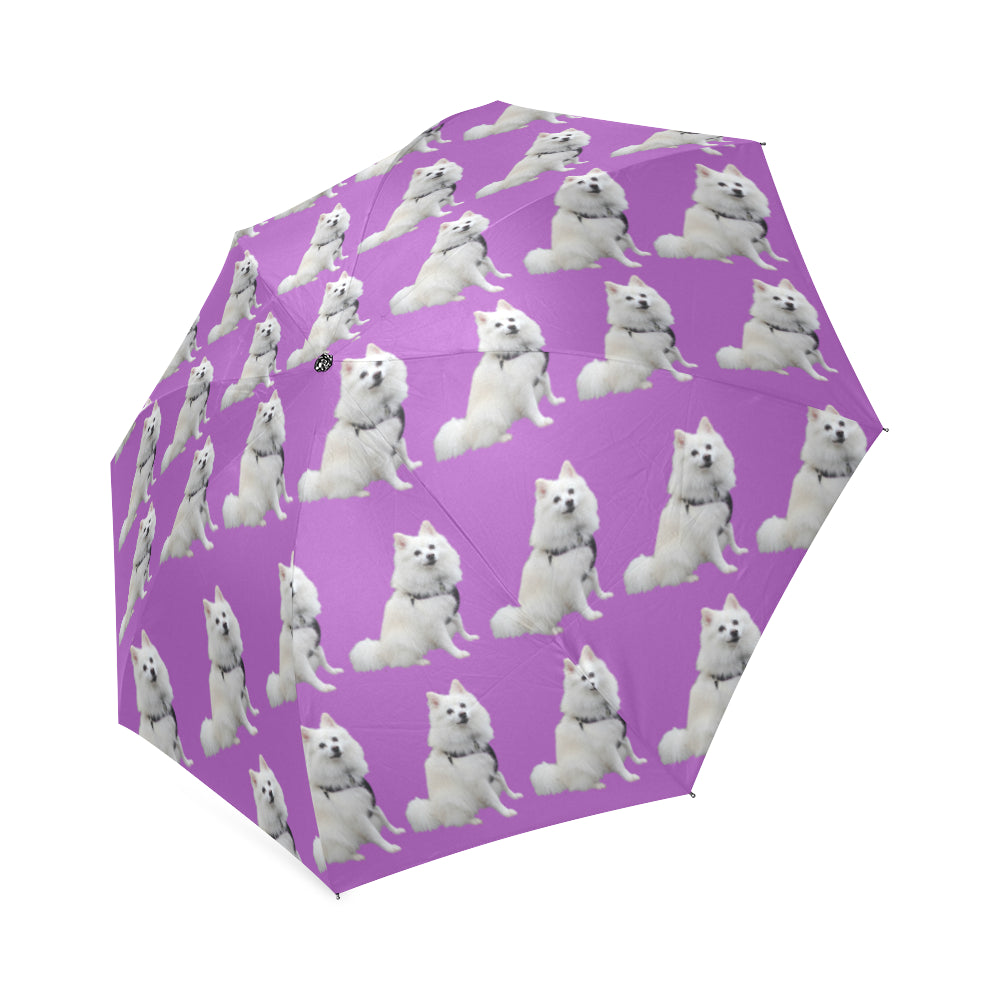 American Eskimo Umbrella