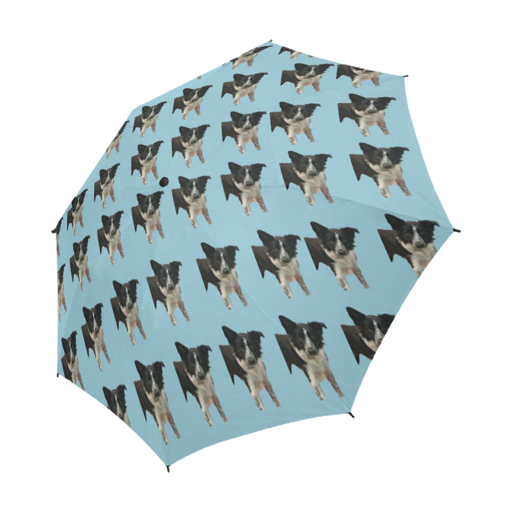 Border Collie Umbrella - Holly