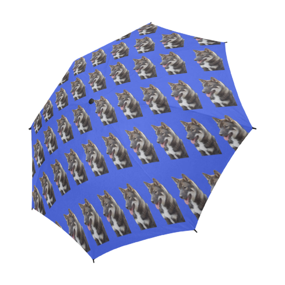 Shikoku Umbrella