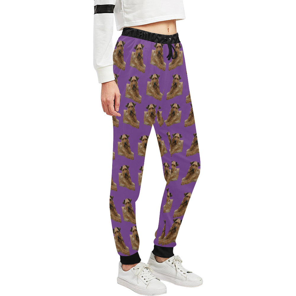 Irish Terrier Pants