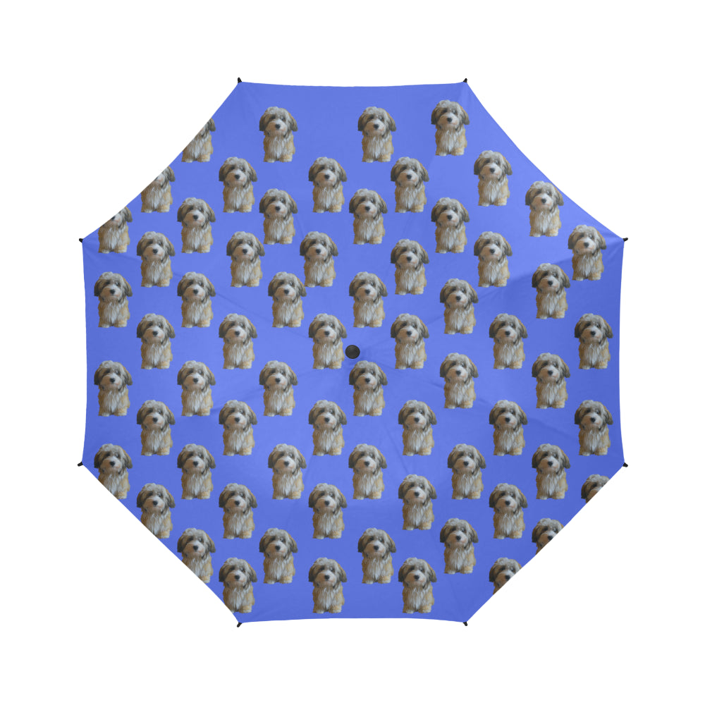 Havanese Umbrella 2