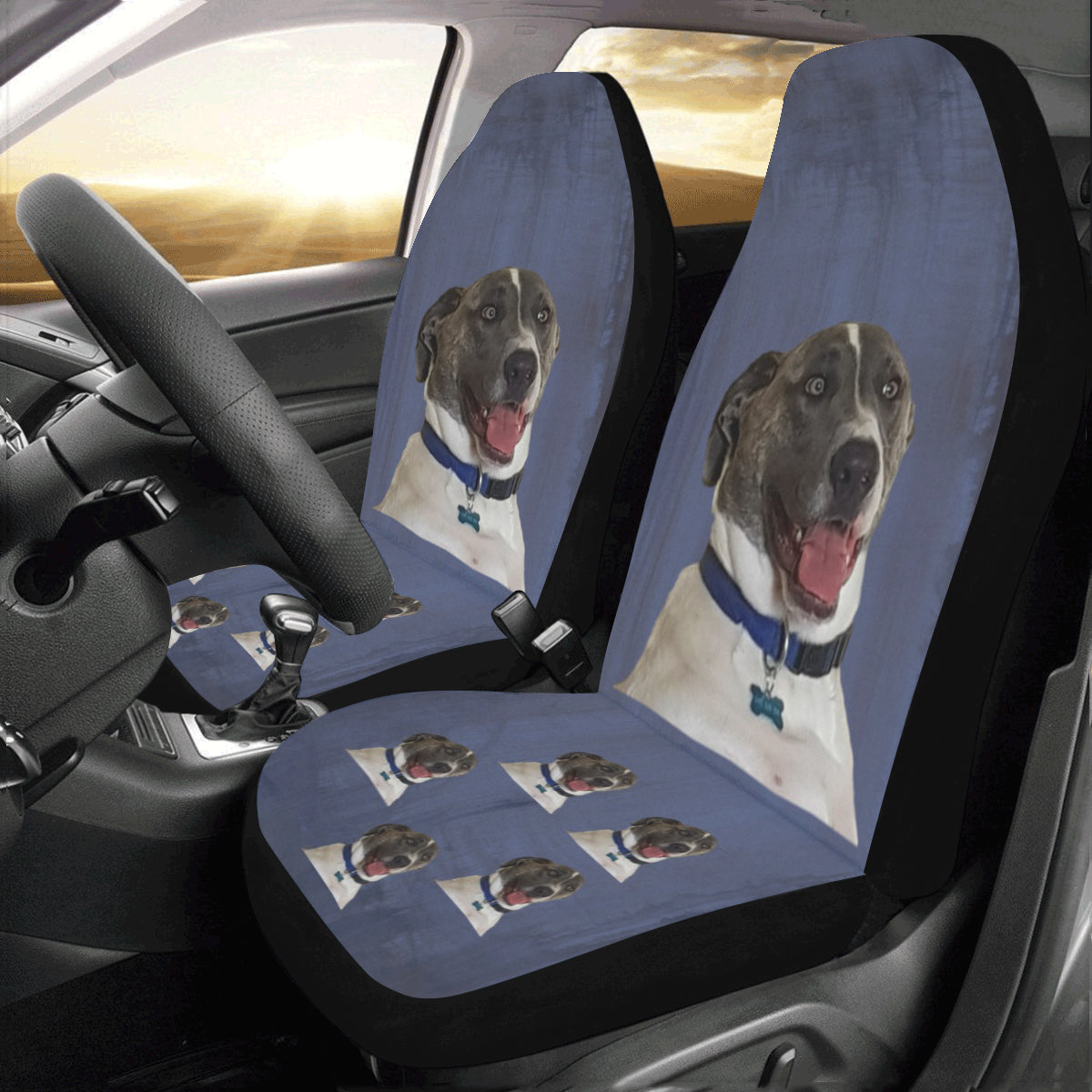 Bull Arab Car Seat Covers (Set of 2)
