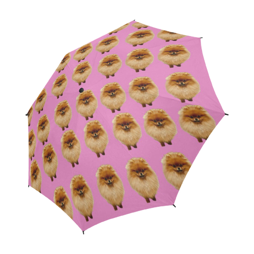 Pomeranian Umbrella - Pink