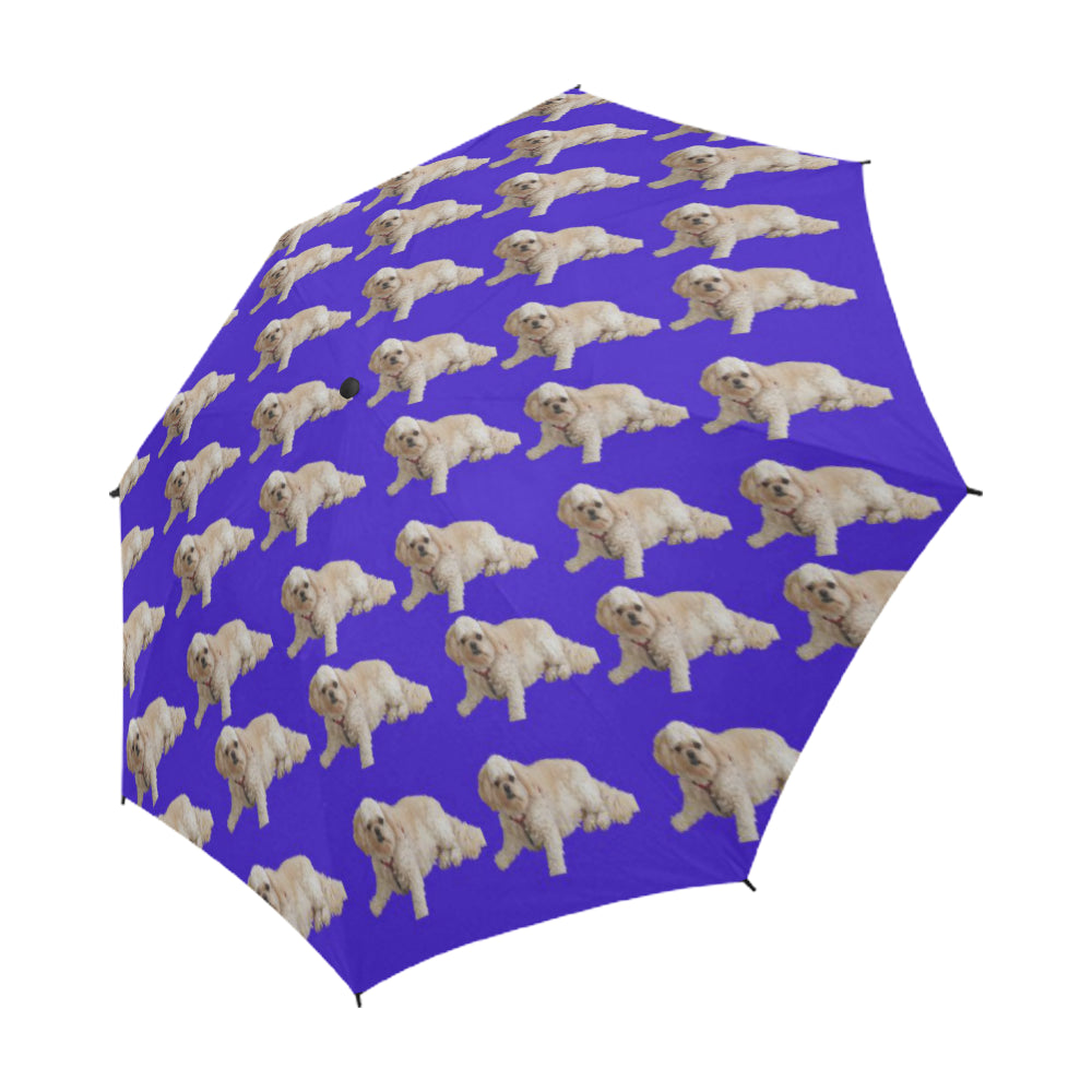 Pekapoo Umbrella - Semi Auto