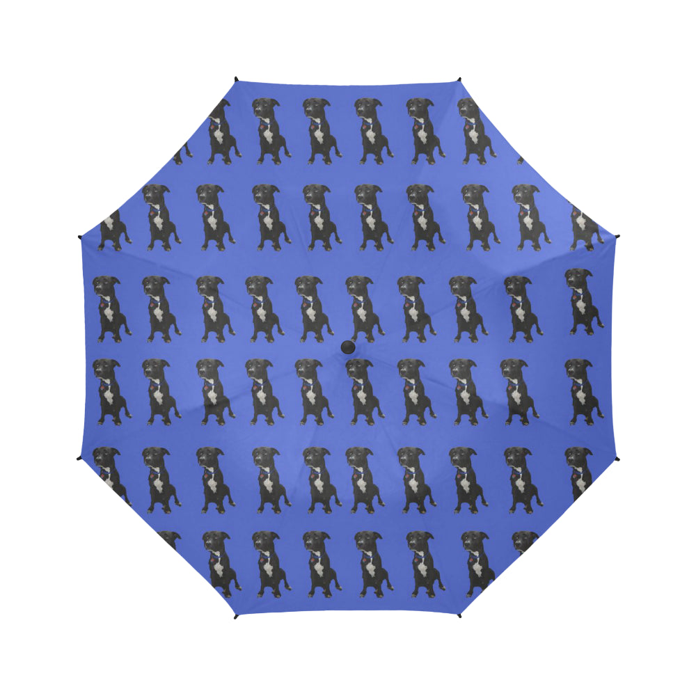 Hamilton Umbrella