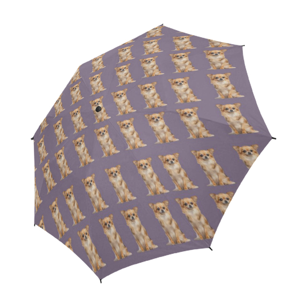 Chihuahua Umbrella - Fawn Long Hair - Semi Automatic