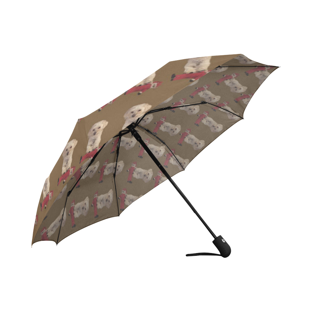 Gilligan's Umbrella 2