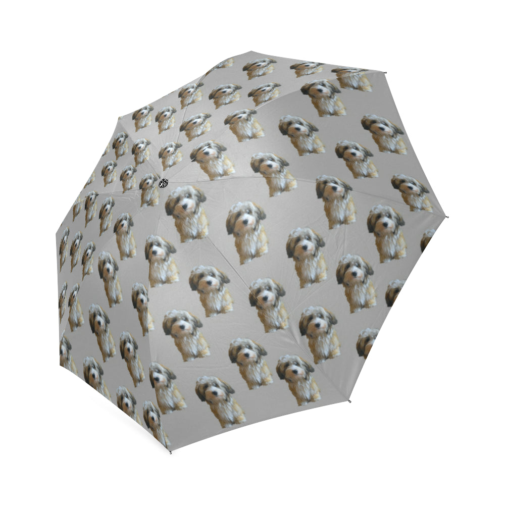 Havanese Umbrella