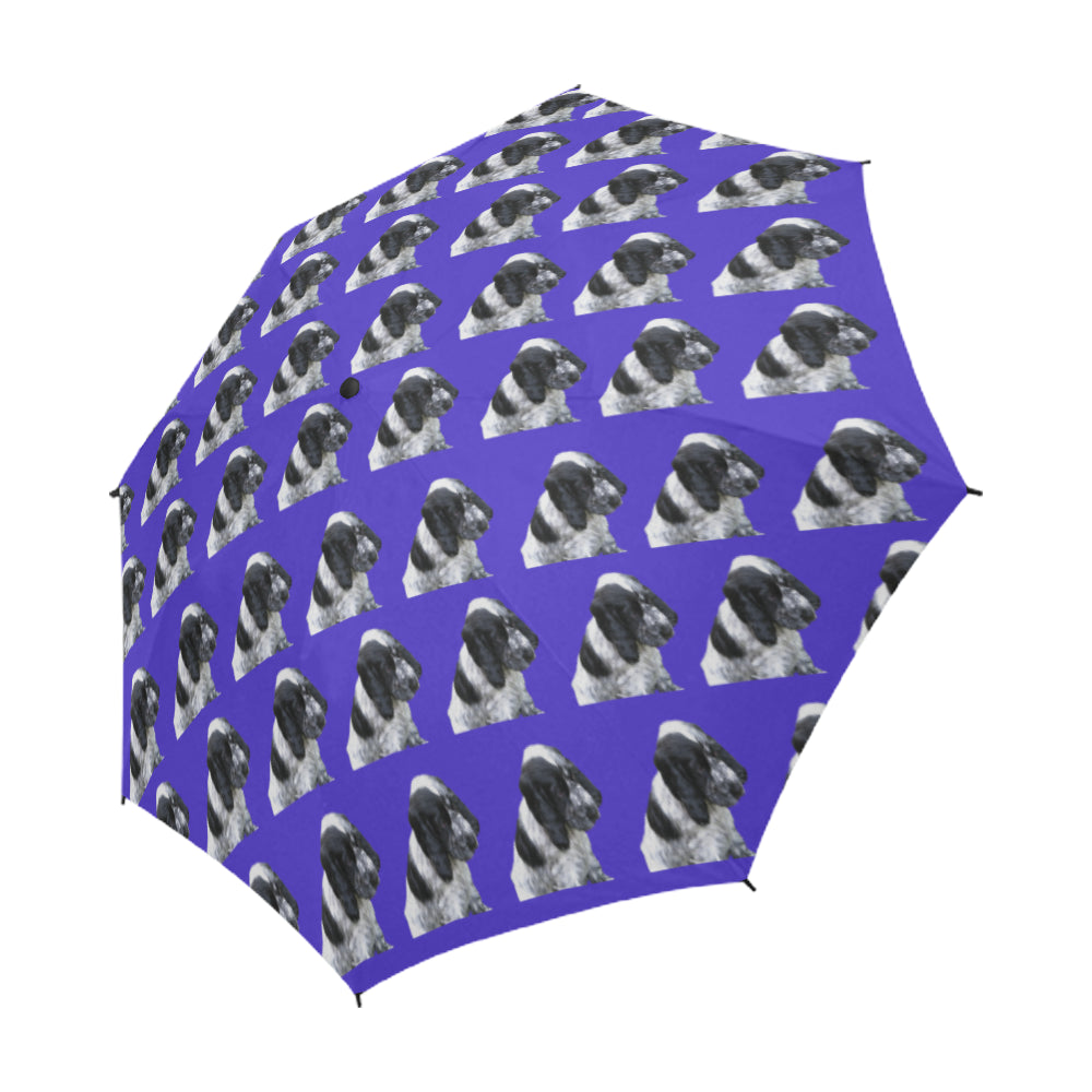 Cocker Spaniel Umbrella - Blue Roan