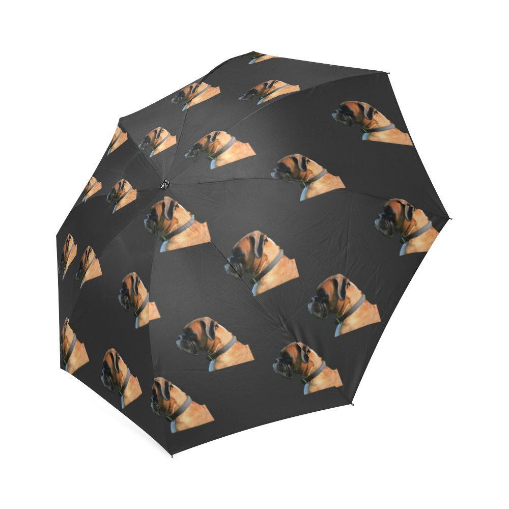 Boxer Umbrella