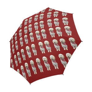 Goldendoodle Umbrella - Red