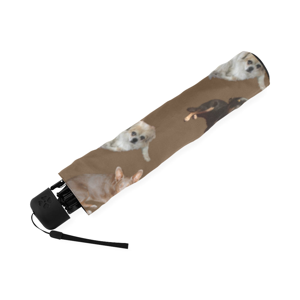 Tibetan Spaniels & Friends Umbrella