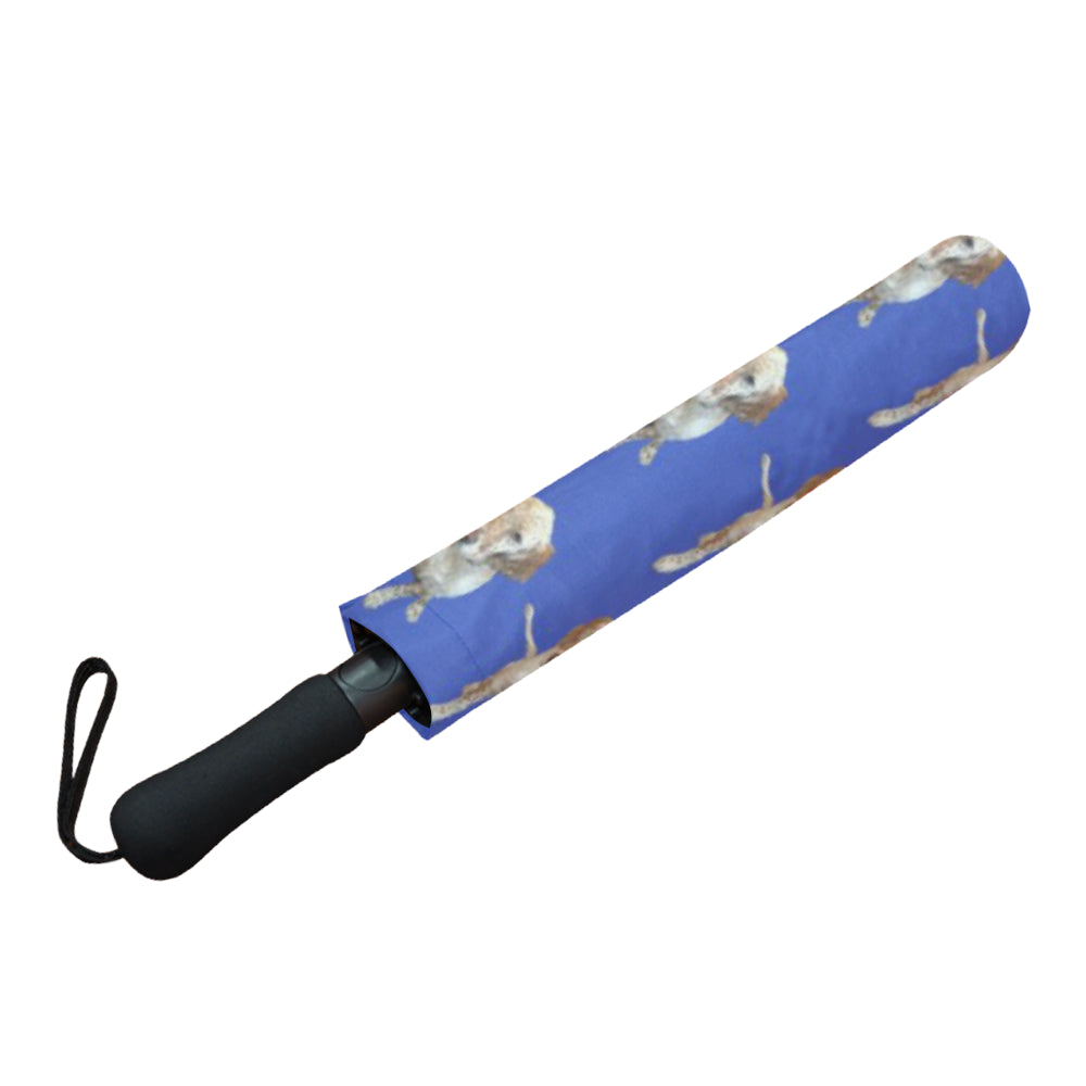 English Setter Umbrella - Blue