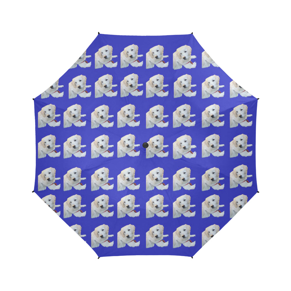 Goldi Umbrella