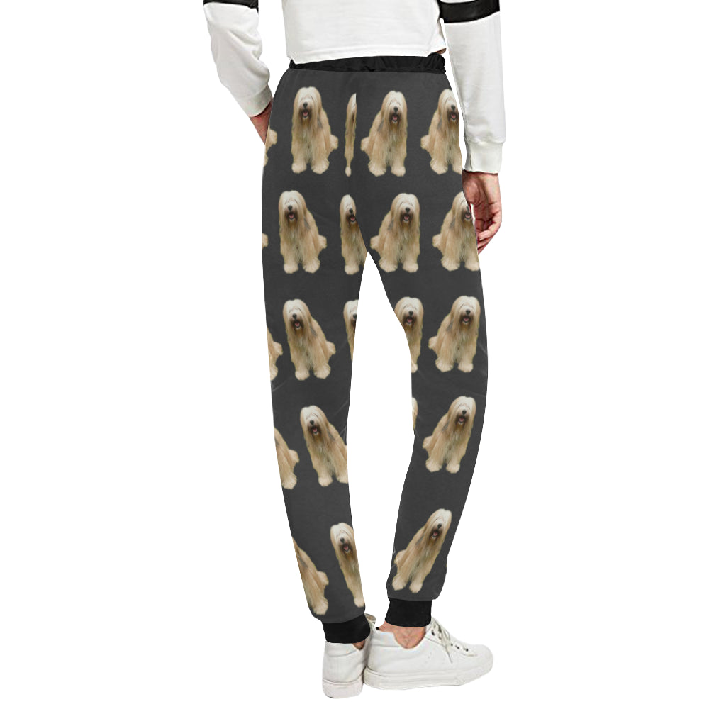 Tibetan Terrier Pants