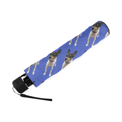 Toy Fox Terrier Umbrella