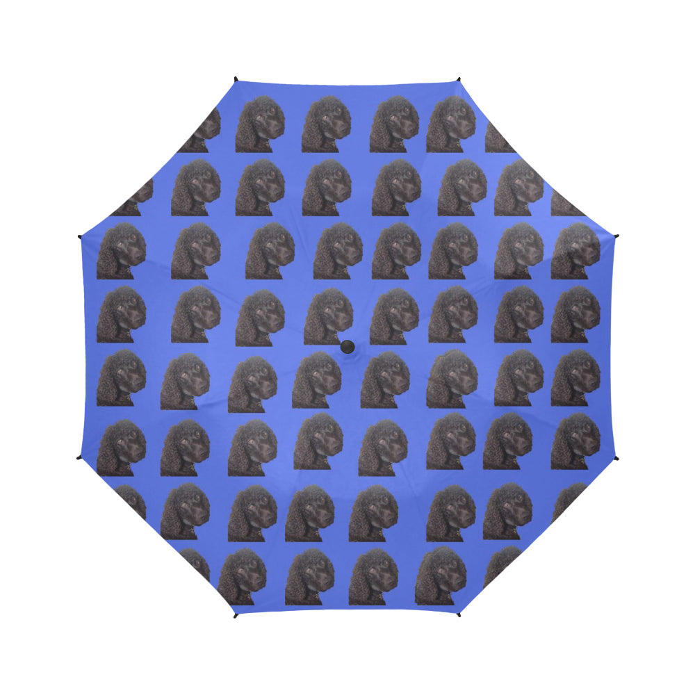 Irish Water Spaniel Umbrella