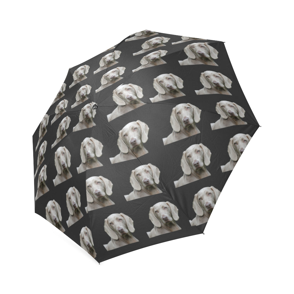 Weimaraner Umbrella