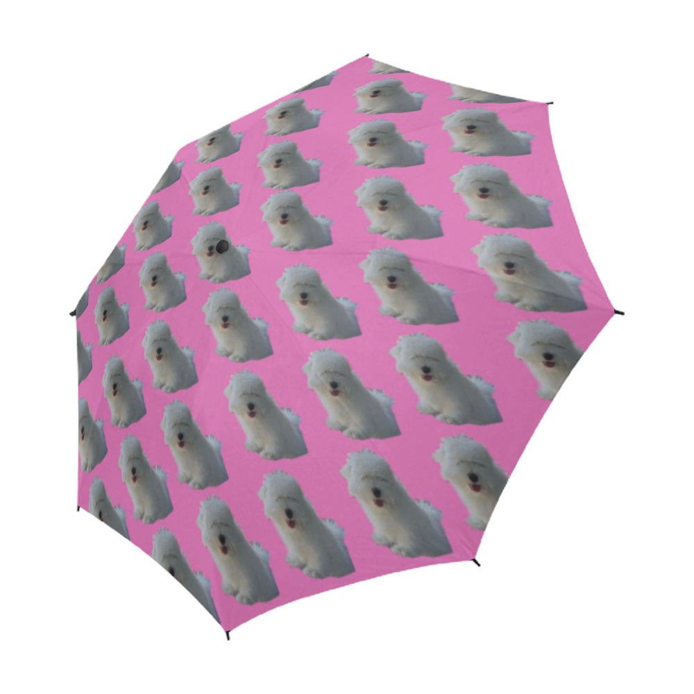 Coton de Tulear Umbrella - Prince