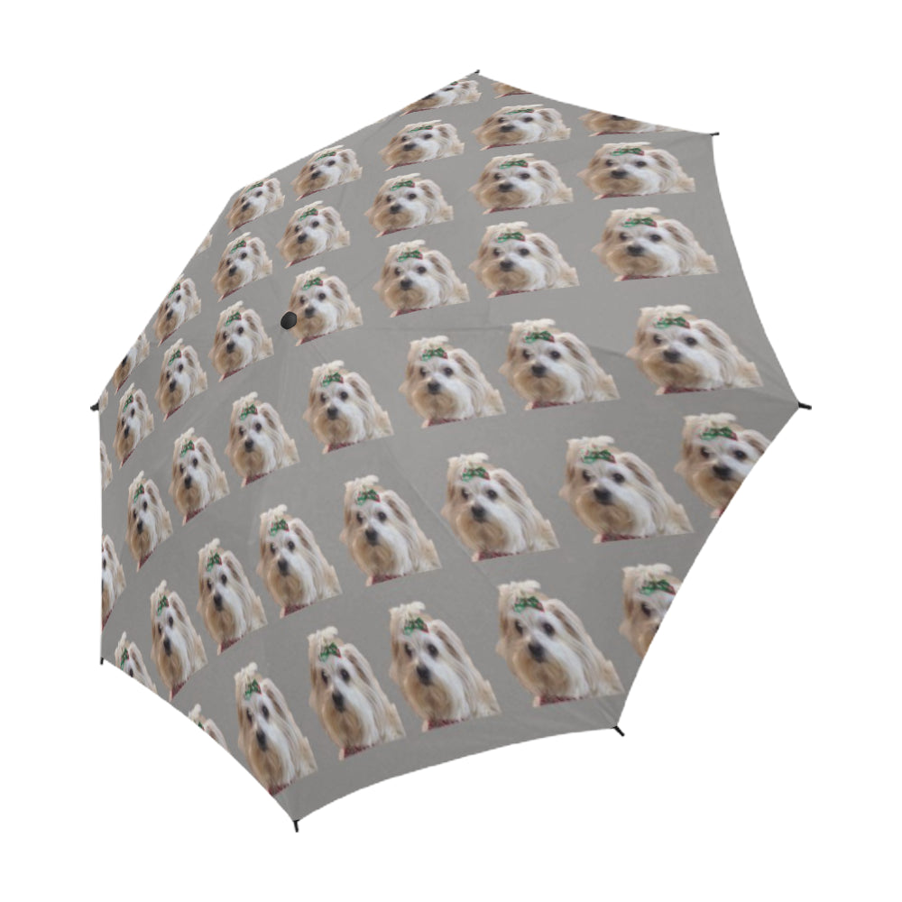 Morkie Umbrella - Phoebe