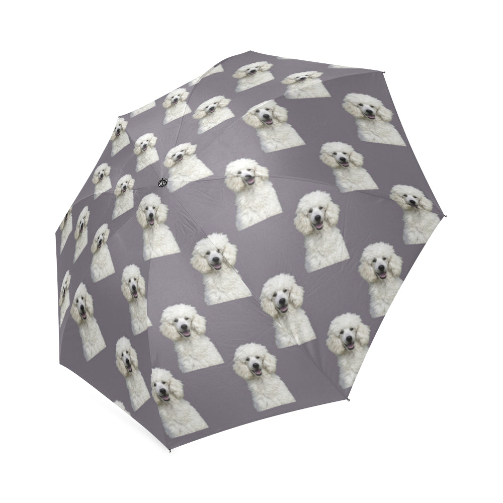 White Poodle Umbrellas