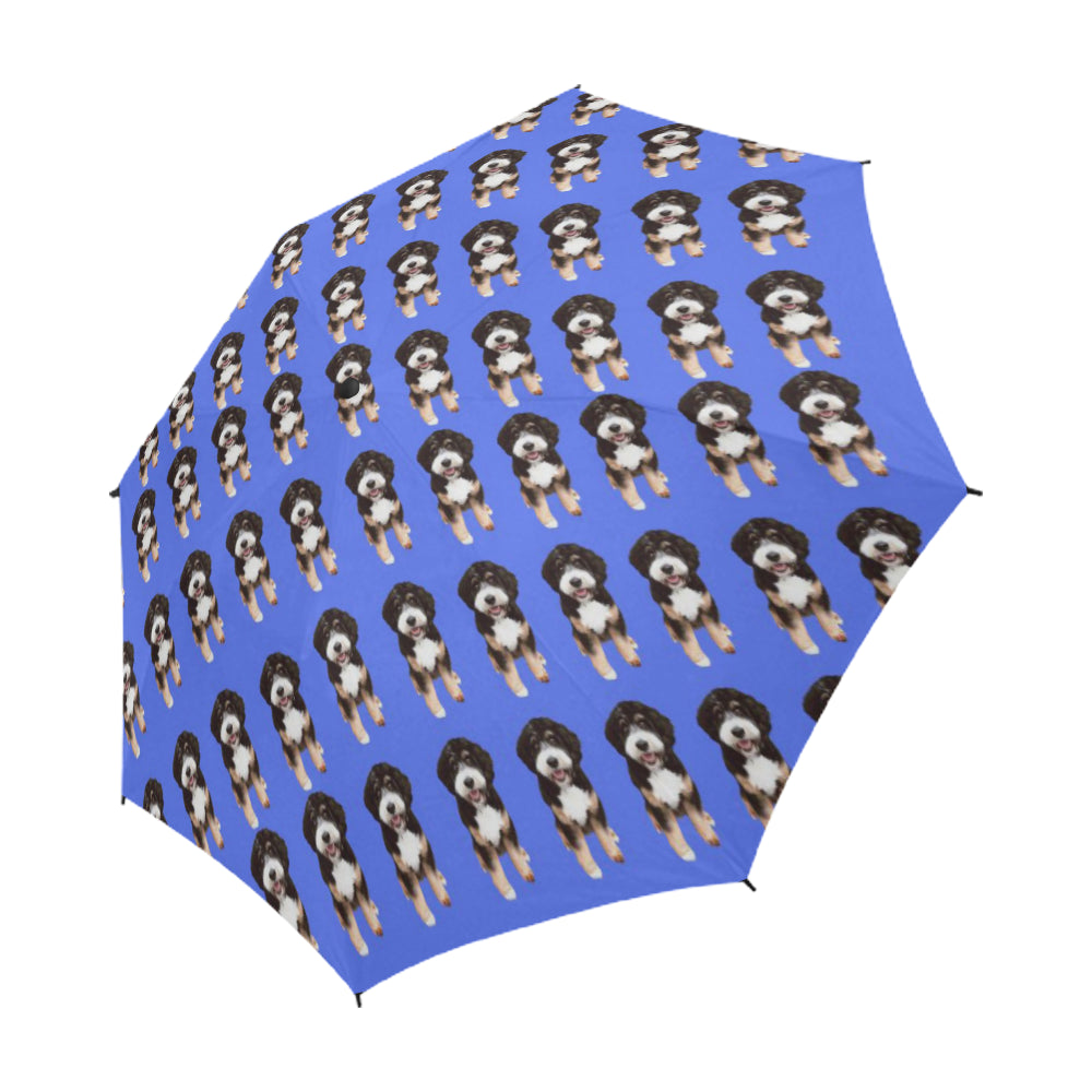Bernedoodle Umbrella - Blue