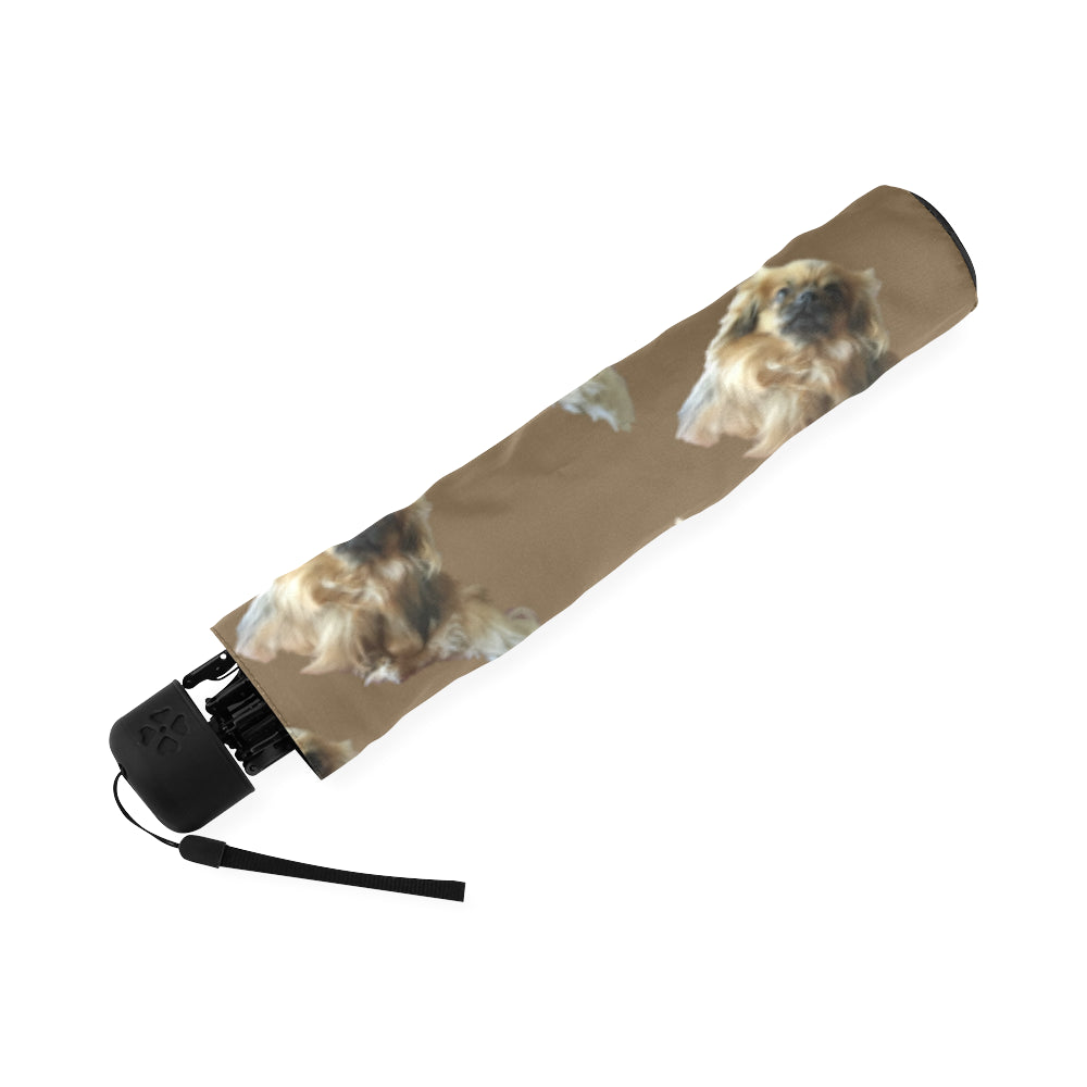 Tibetan Spaniel Umbrella