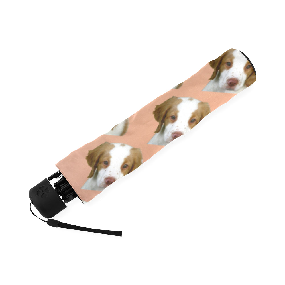 Brittany Spaniel Umbrella