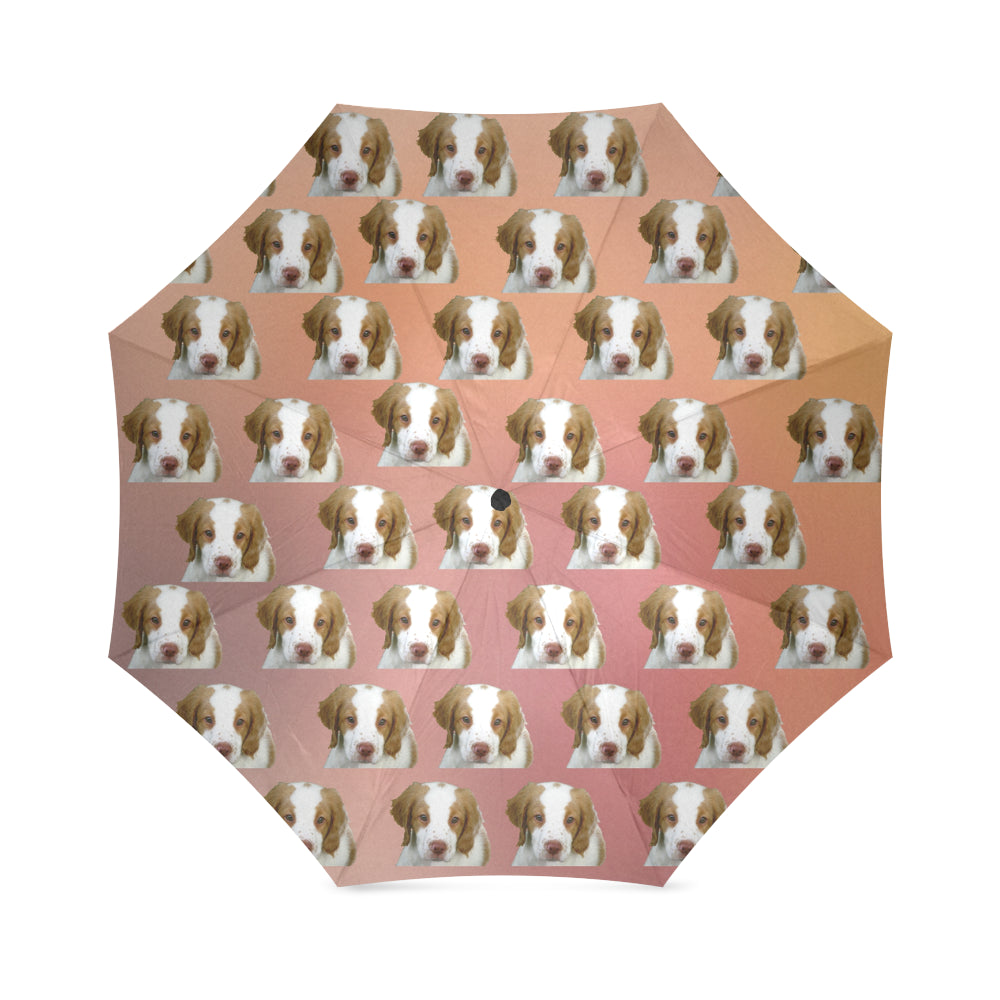 Brittany Spaniel Umbrella