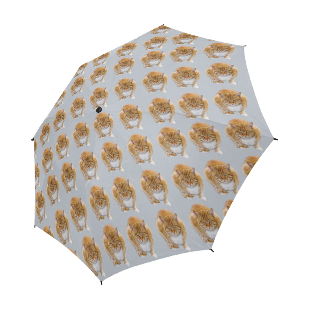Tabby Cat Umbrella 2