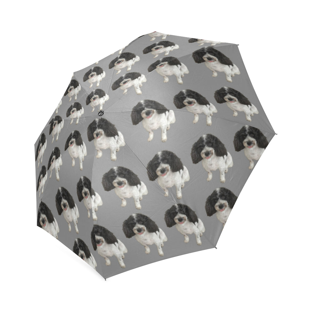 Cavapoo Umbrella - Grey