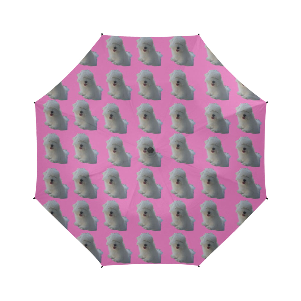 Coton de Tulear Umbrella - Prince