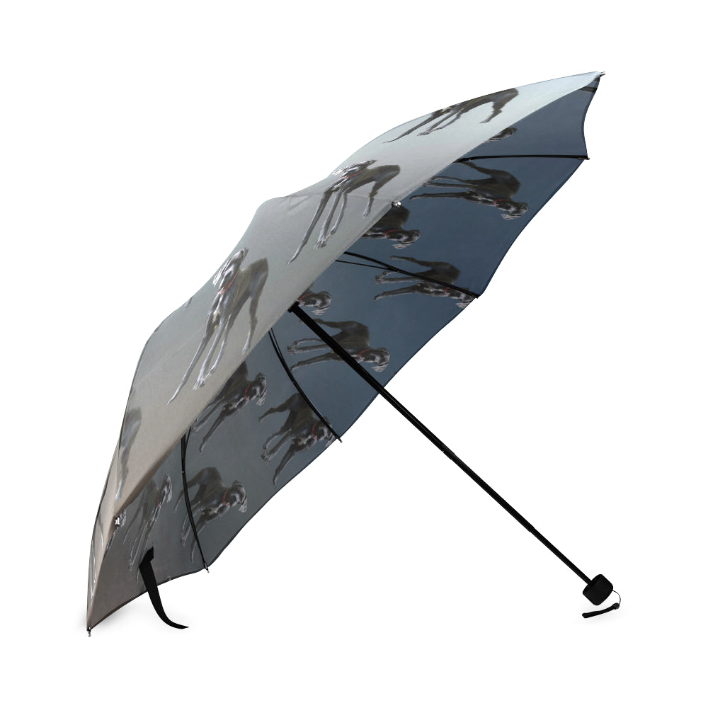 Great Dane Umbrella
