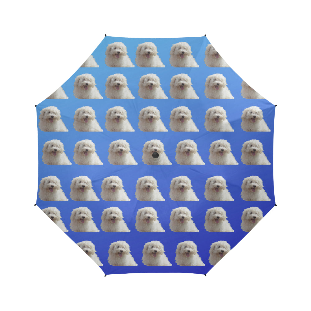 Bolognese Umbrella