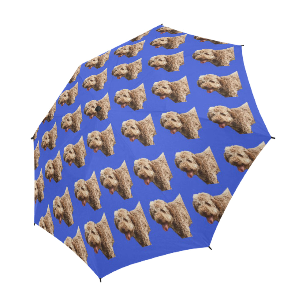 Lagotto Romagnolo Umbrella