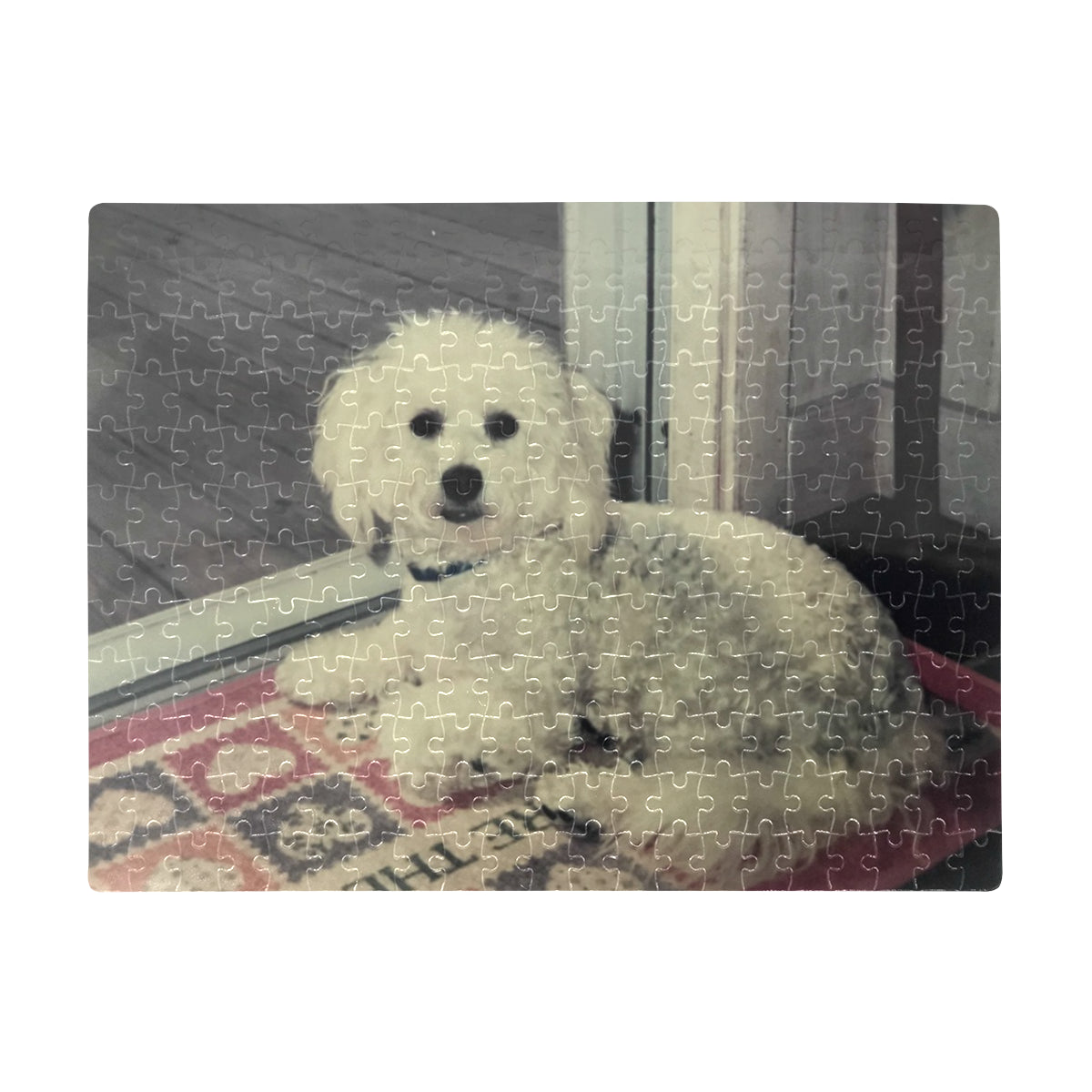 Bichon Frise Jigsaw Puzzle - 252 pcs