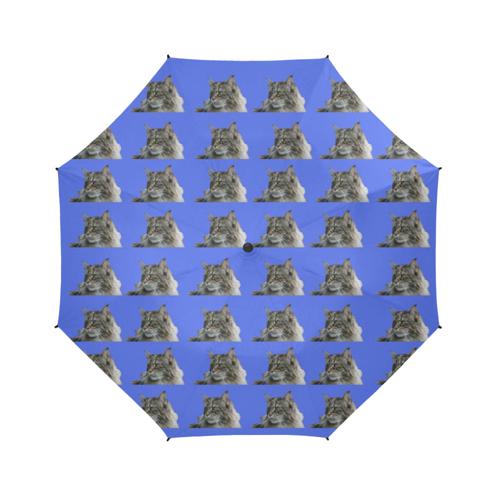 Maine Coon Cat Umbrella