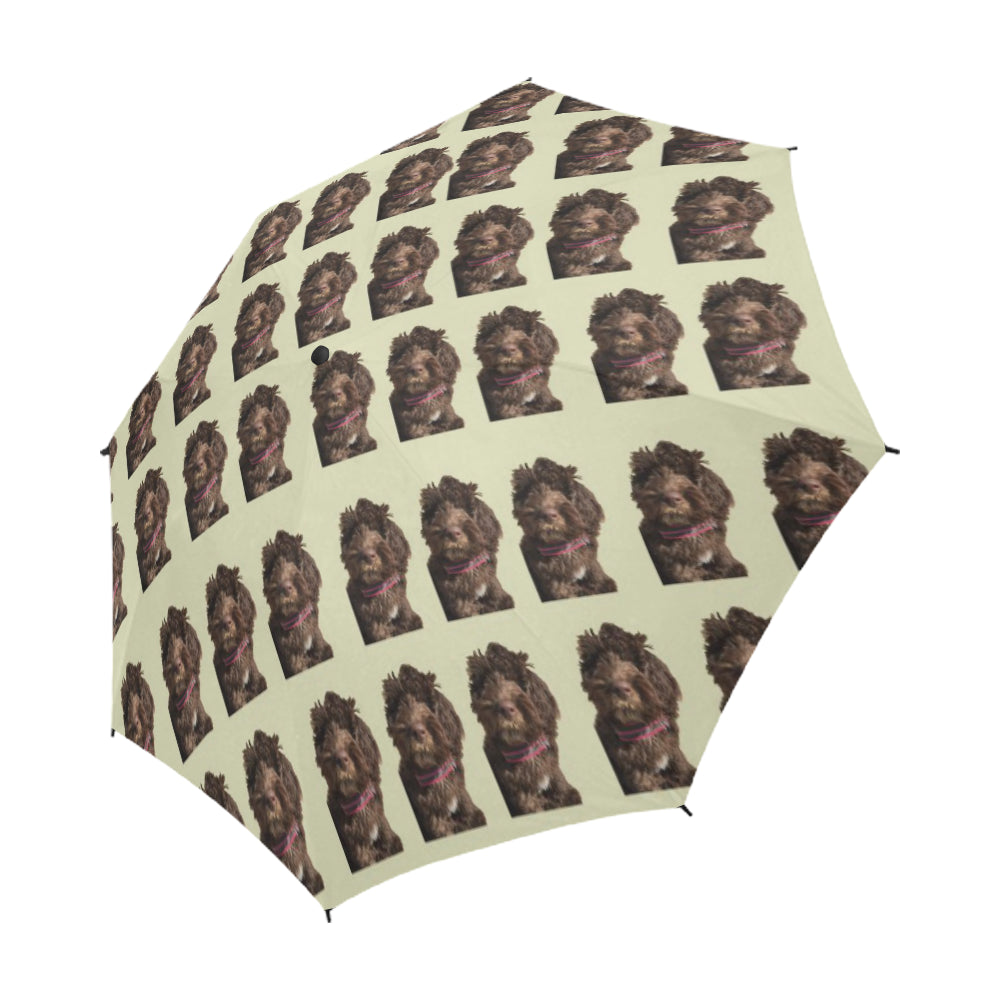 Pat&#39;s Dog Umbrella