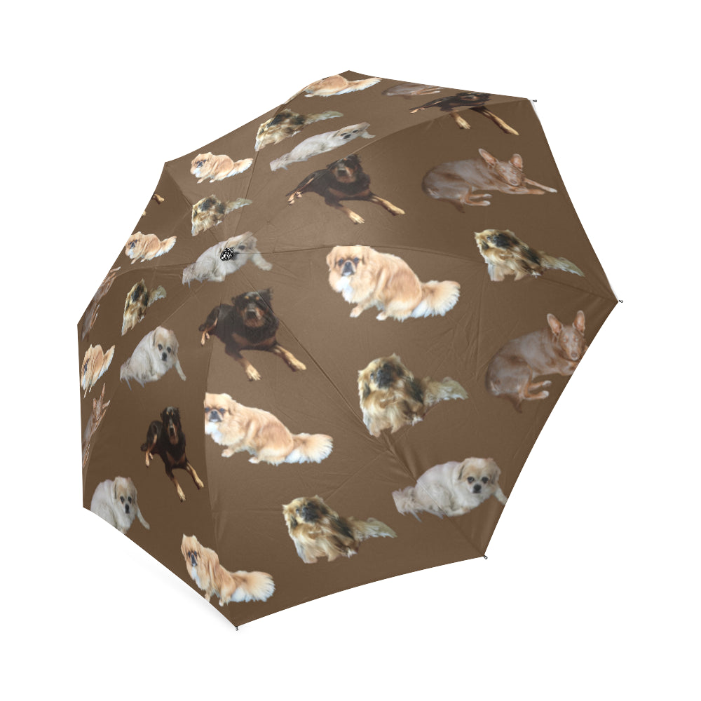 Tibetan Spaniels &amp; Friends Umbrella