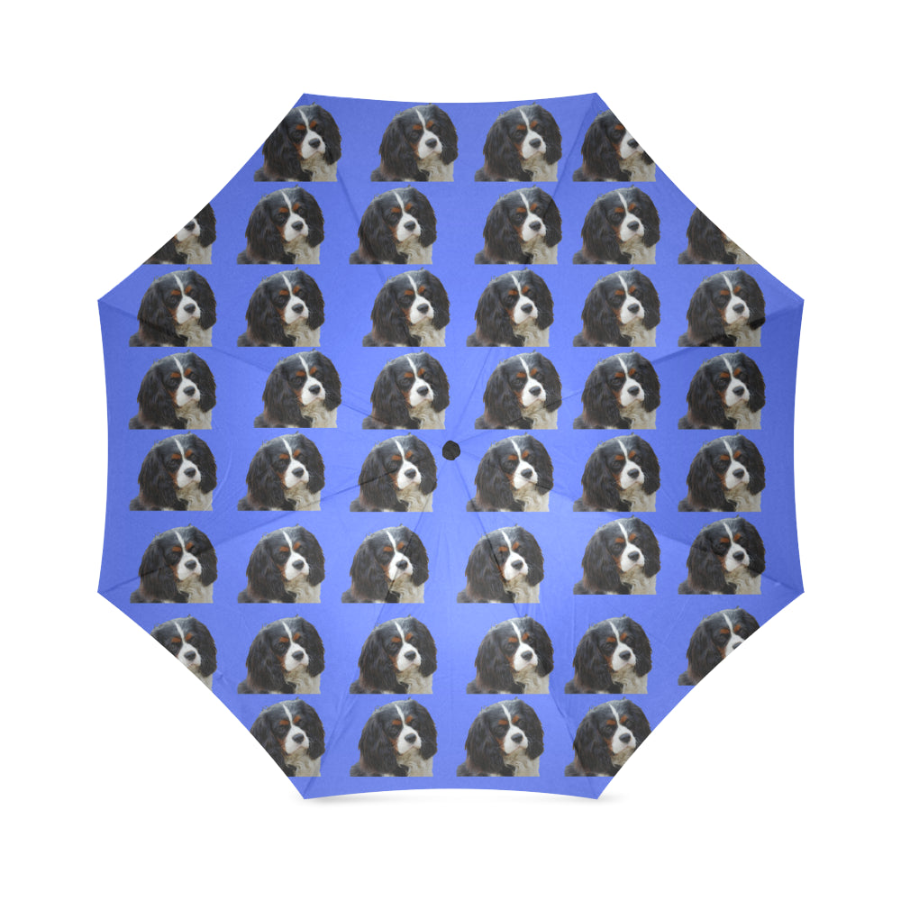 Cavalier King Charles Spaniel Umbrella - Tri