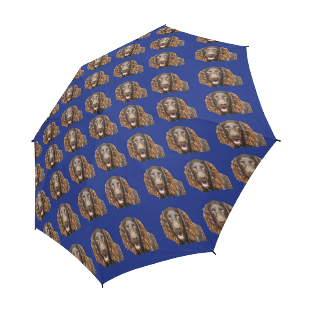 Boykin Spaniel Umbrella