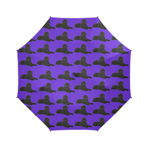 Black Labradoodle Umbrella