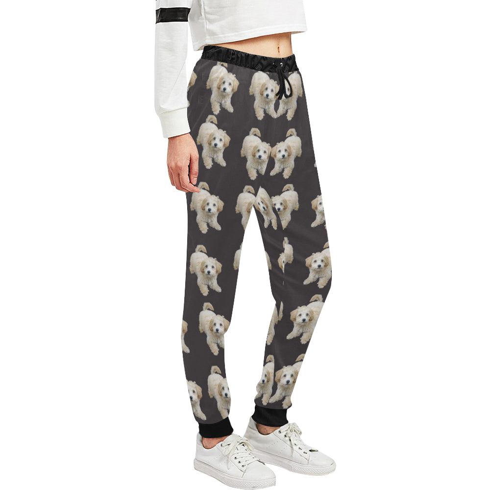 Maltipoo Pants