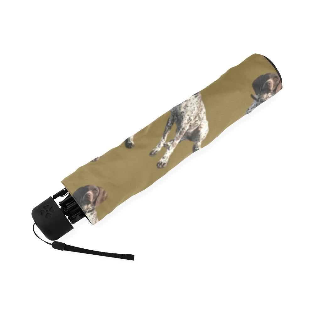 German Short Haired Pointer Umbrella