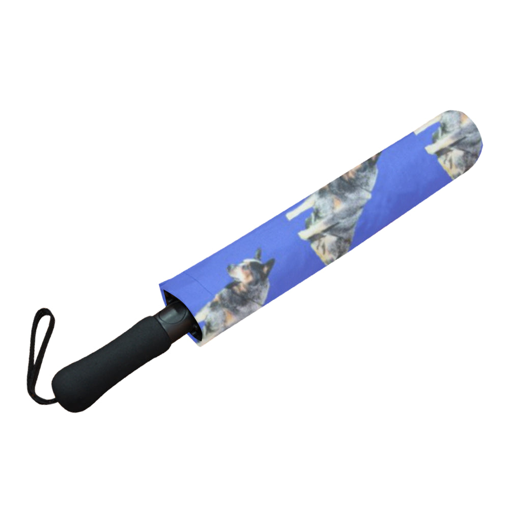 Blue Heeler Umbrella