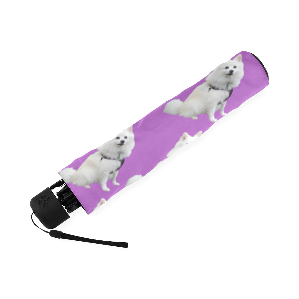 American Eskimo Umbrella