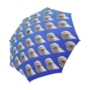 Bolognese Umbrella