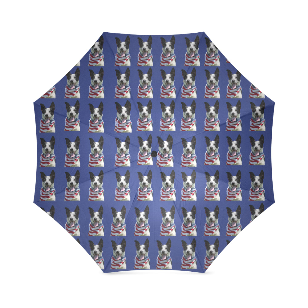 Cattle Border Collie Umbrella